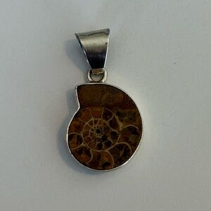 Charles Albert Brown Ammonite Fossil Pendant with Sterling Silver Frame